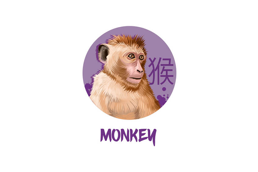 Love Chinese Horoscope: Monkey