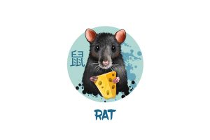 Love Chinese Horoscope: Rat