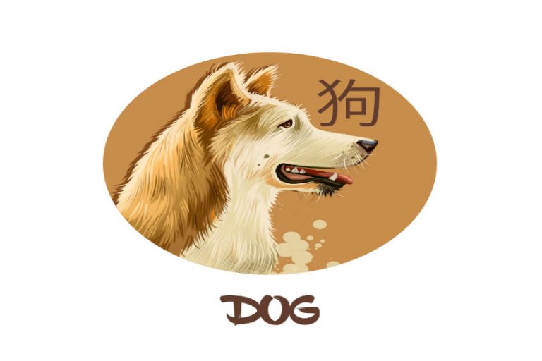 Love Chinese Horoscope Dog Cosmic Vibes