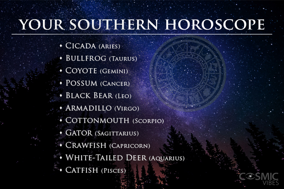 You are currently viewing Southern Version of Zodiac Signs