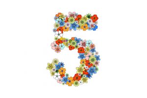 Numerology: Number 5