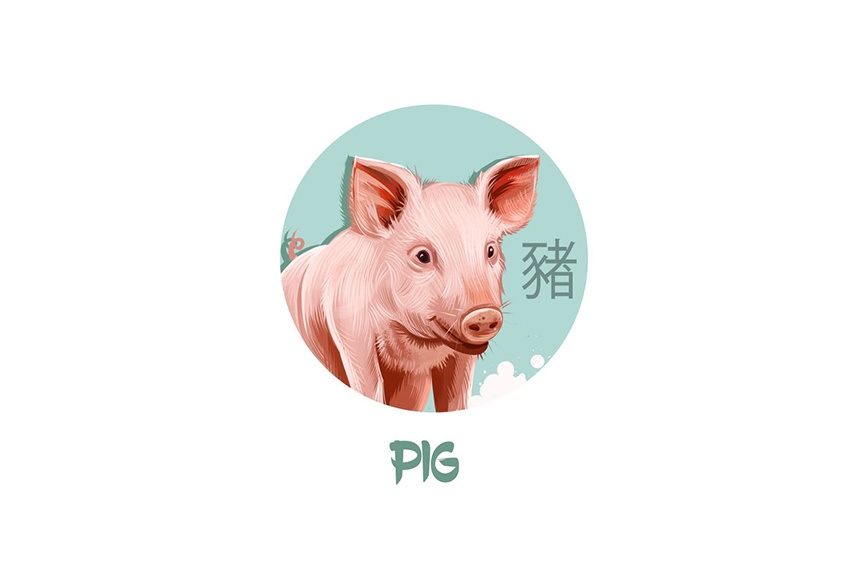 Love Chinese Horoscope: Pig