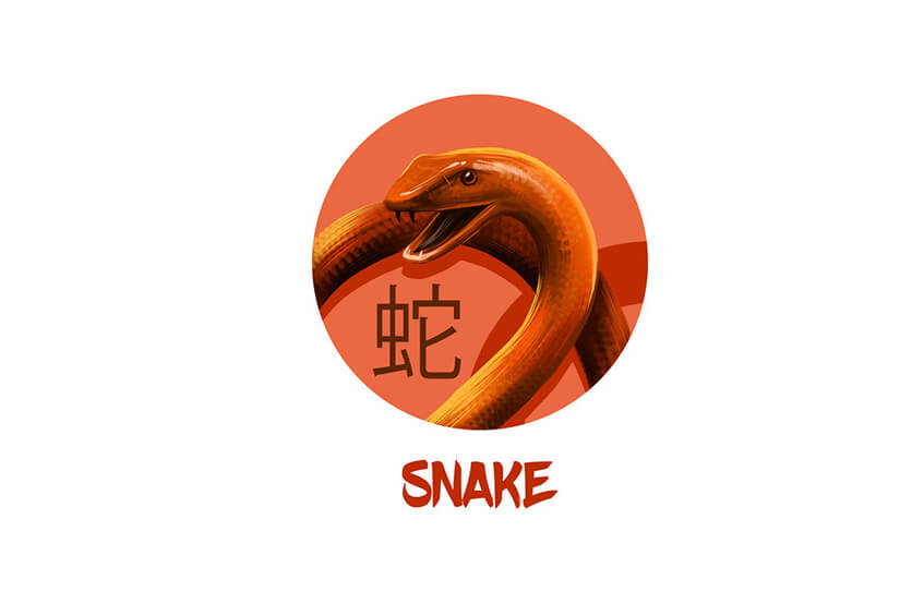 Love Chinese Horoscope: Snake
