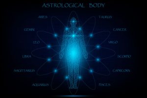 Read more about the article 12 Branches of Astrology to Learn more About