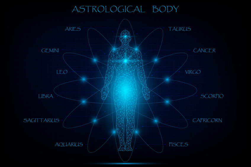 You are currently viewing 12 Branches of Astrology to Learn more About