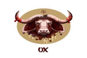 Read more about the article Love Chinese Horoscope: Ox