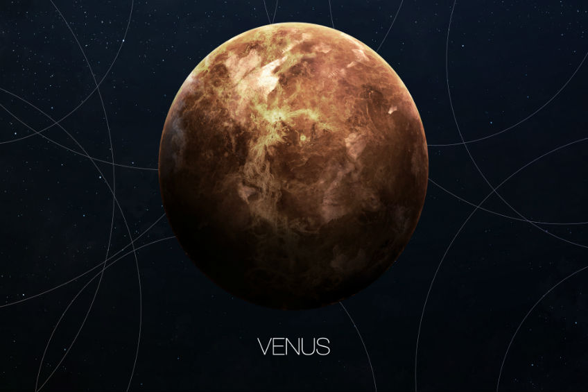 You are currently viewing Venus through the Zodiac Signs
