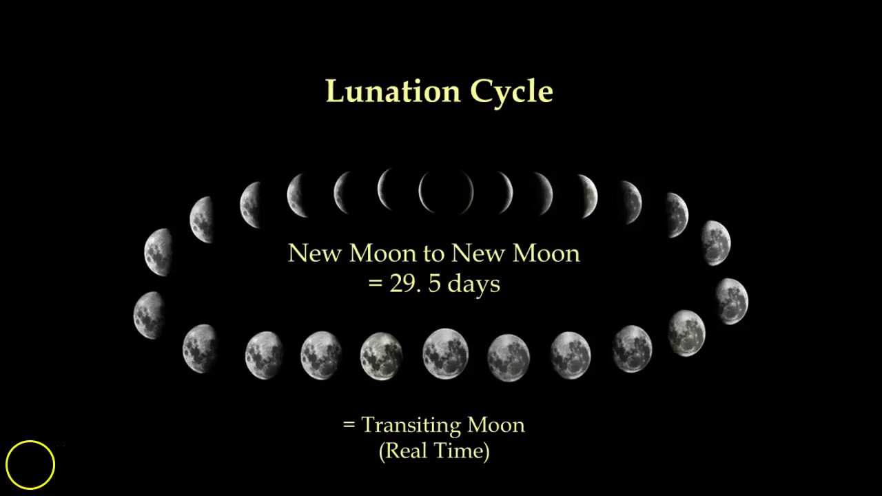 You are currently viewing The Lunation Cycle