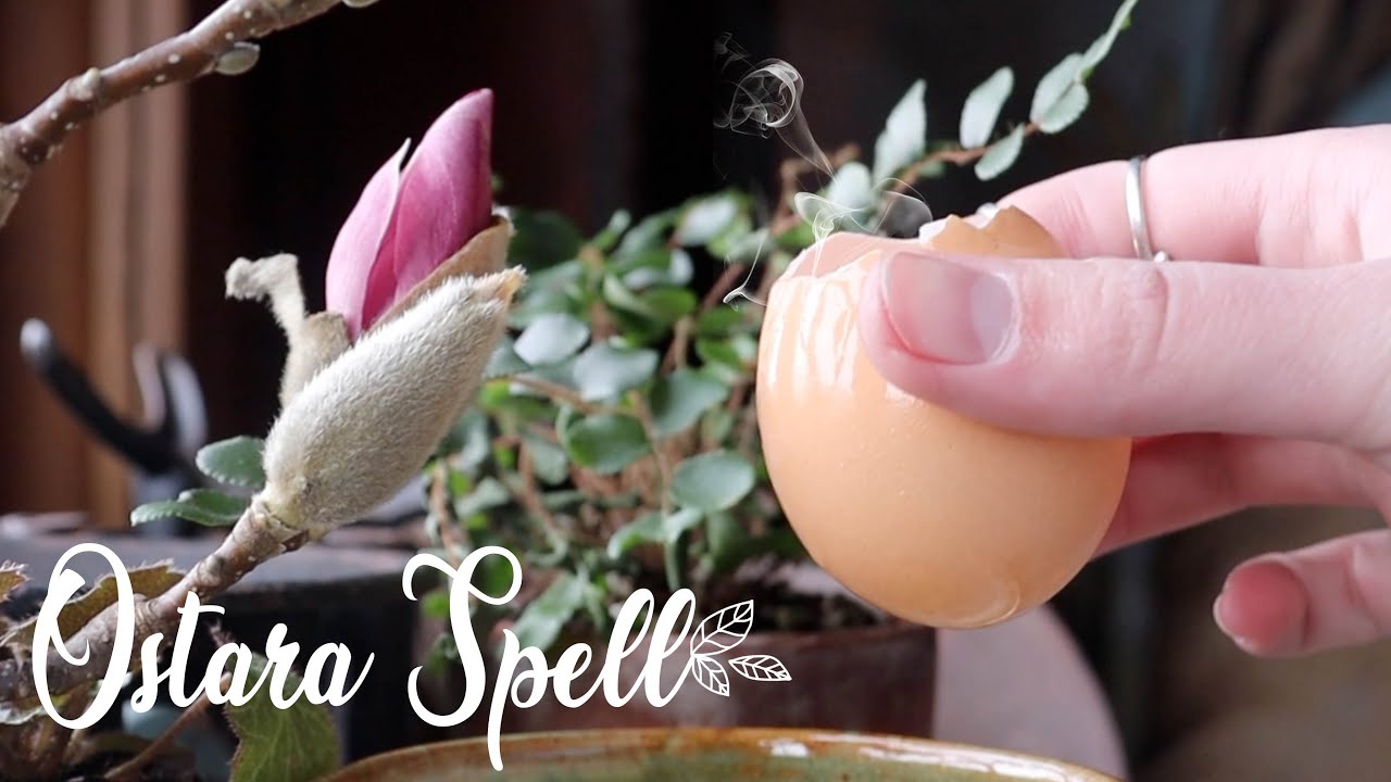 You are currently viewing Ostara Spell || Sprouting Your Desires