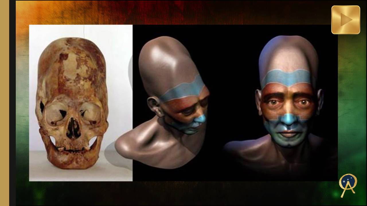 You are currently viewing Incredible DNA Test Results on 2,000 Years Old Elongated Paracas Skulls
