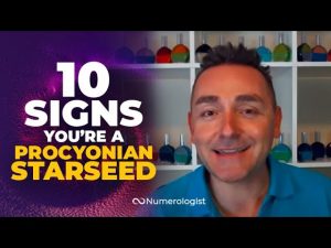 10 Undeniable Traits of a Procyonian Starseed (&Why You May Be One of Them!)
