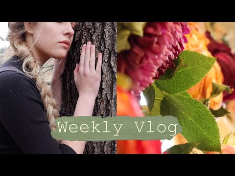 You are currently viewing In the In-between || Weekly Vlog