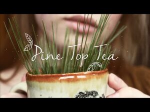 Read more about the article Pine Top Tea || Natural Cold Remedy