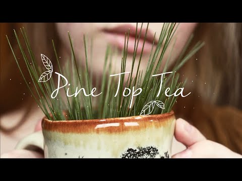 You are currently viewing Pine Top Tea || Natural Cold Remedy