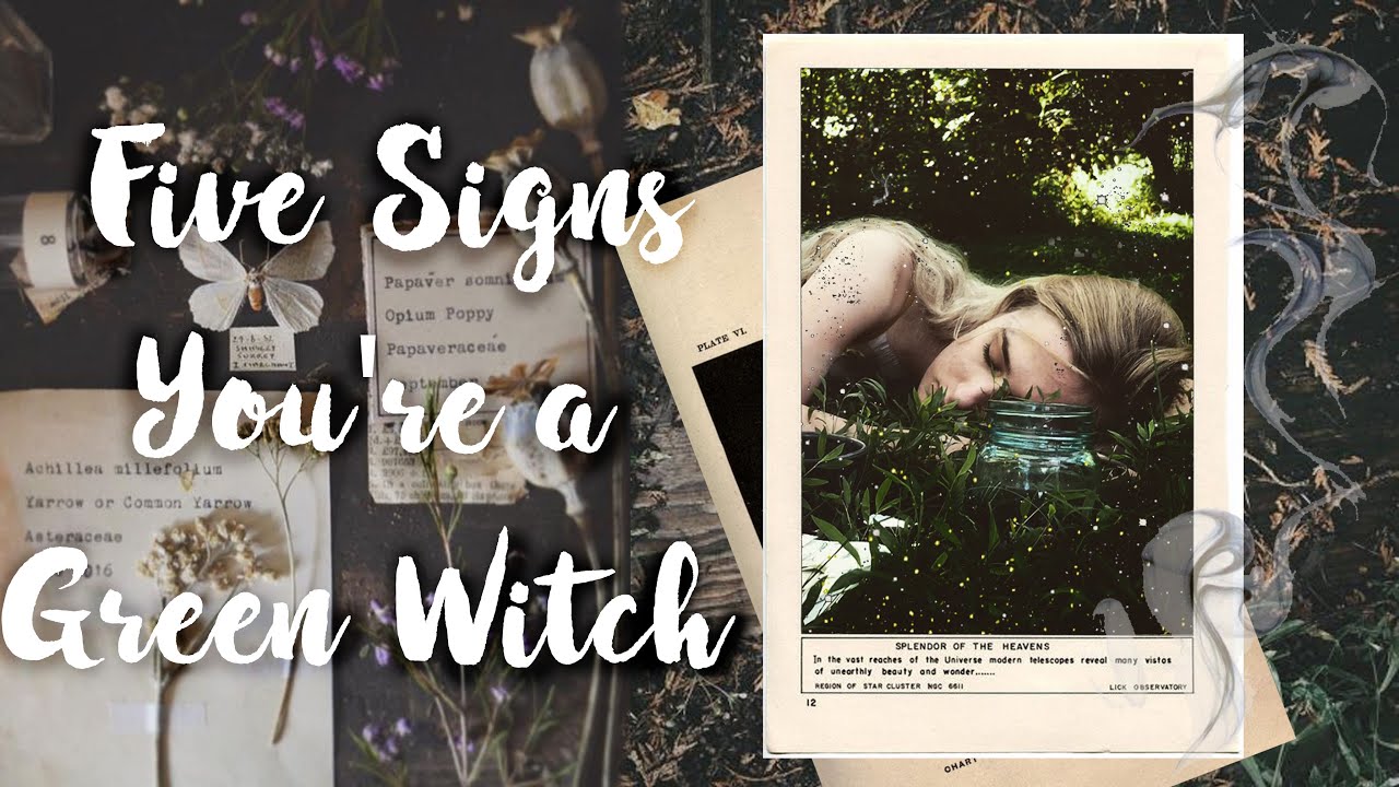 You are currently viewing 5 signs you are a Green Witch for the Wondering Witch | What kind of Witch are You?