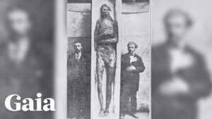 Read more about the article Evidence of Giants from Sardinia