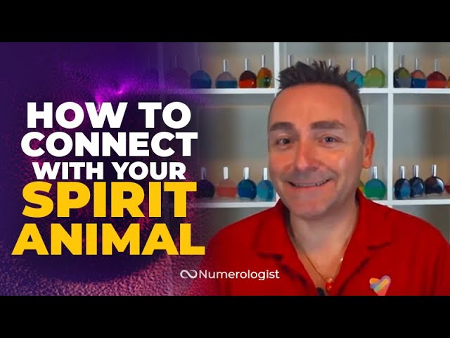 Read more about the article Connect With Your Spirit Animal!