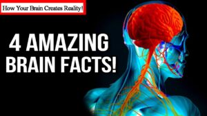 4 AMAZING Ways Your Brain CREATES Your REALITY!