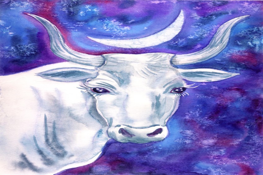 You are currently viewing Taurus Zodiac Signs and the Holidays