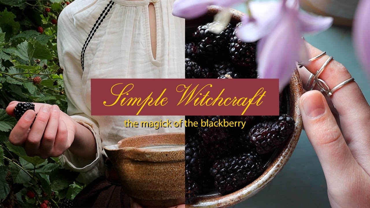 You are currently viewing Simple Witchcraft | The Magick of the Blackberry
