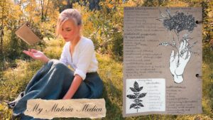Read more about the article How a Green Witch Profiles Herbs || My Materia Medica Entries