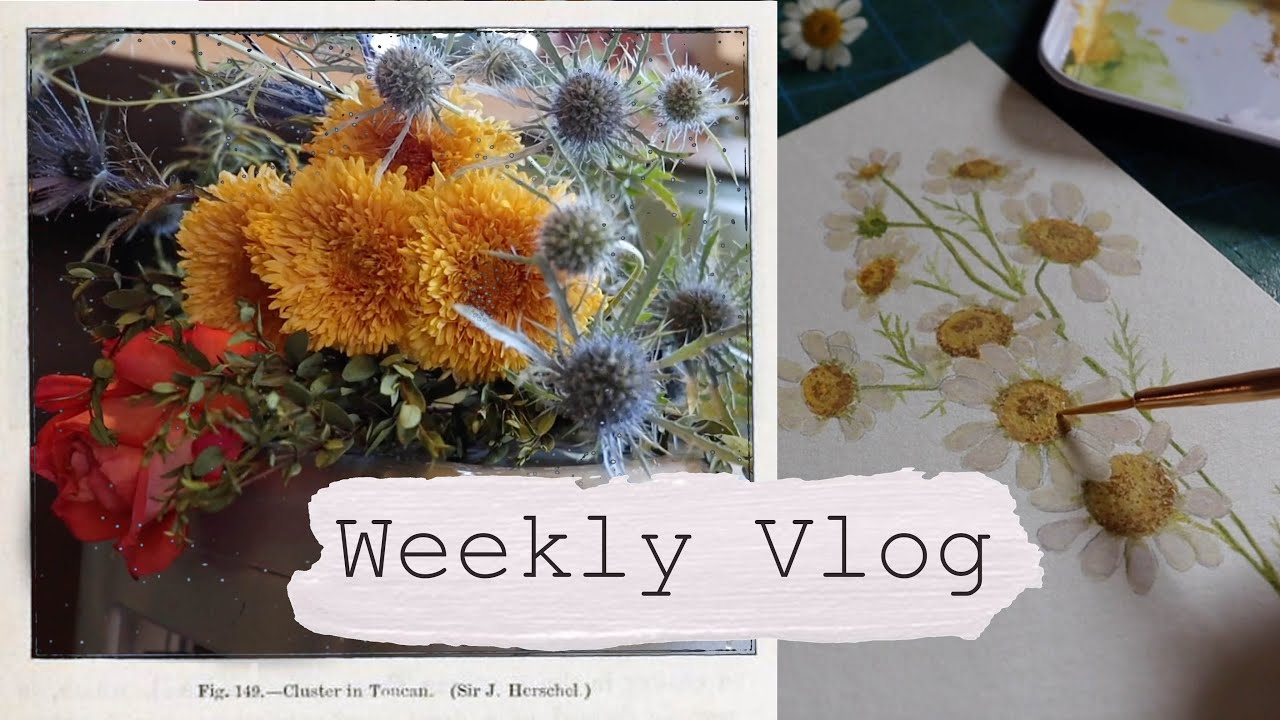 You are currently viewing Art, Botanicals, Samhain || Weekly Vlog