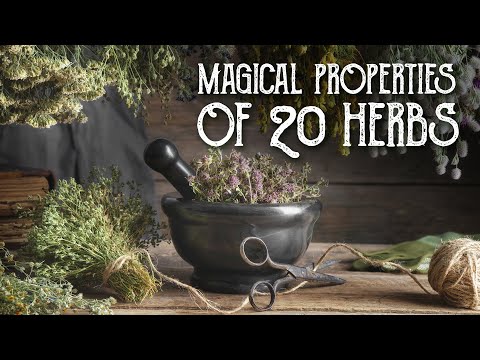 You are currently viewing Magical Properties of 20 Ritual Herbs
