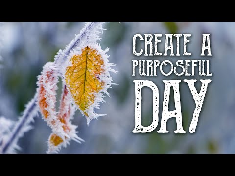 You are currently viewing Guided Meditation for Creating a Purposeful Day