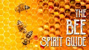 Read more about the article Bee Spirit Guide