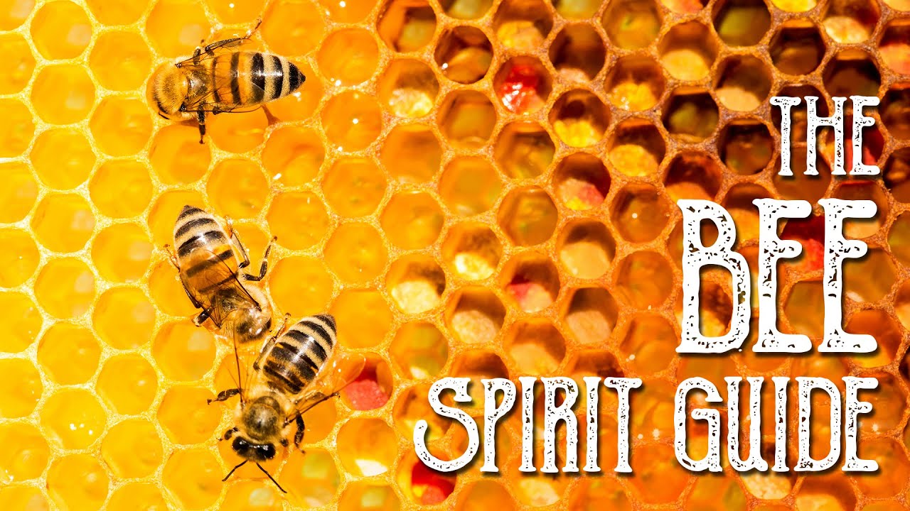 Bee Spirit Guide