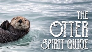 Read more about the article Otter Spirit Guide