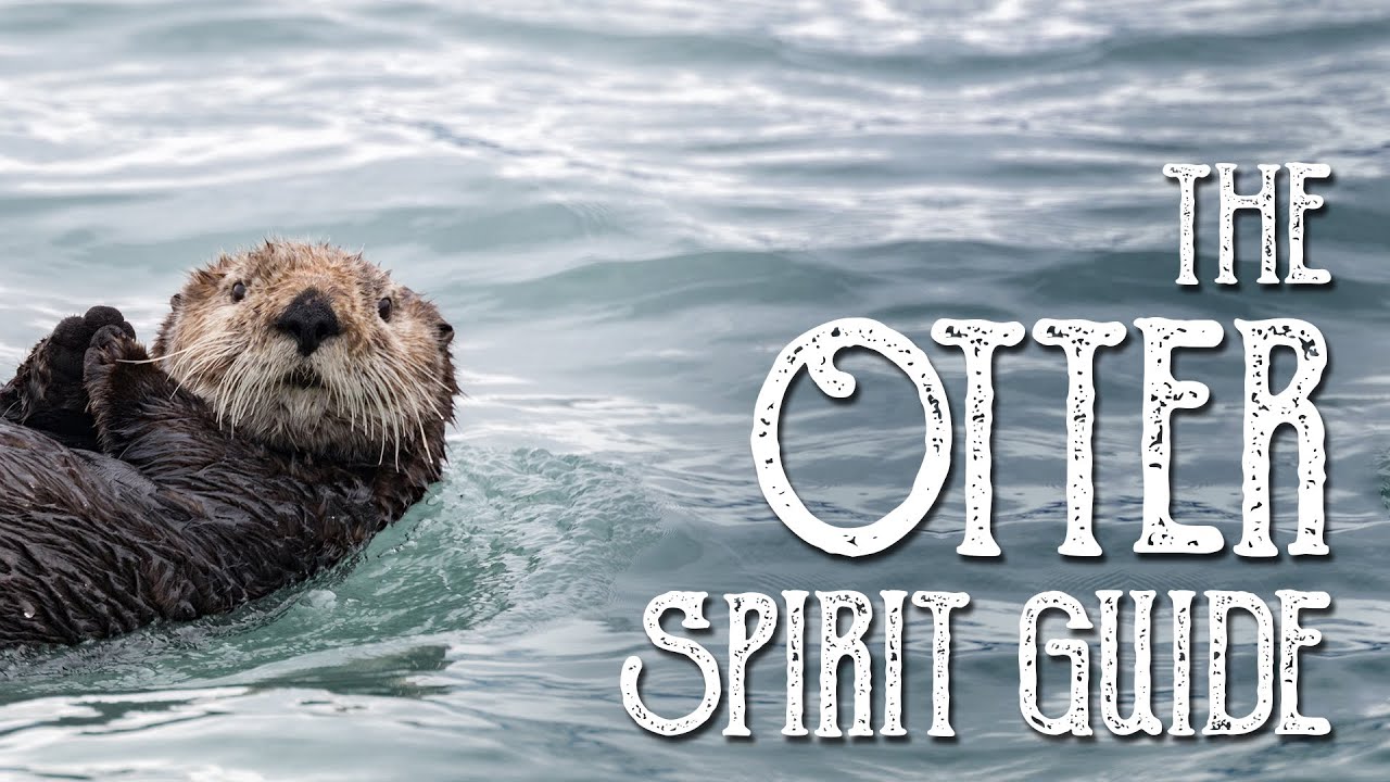 You are currently viewing Otter Spirit Guide