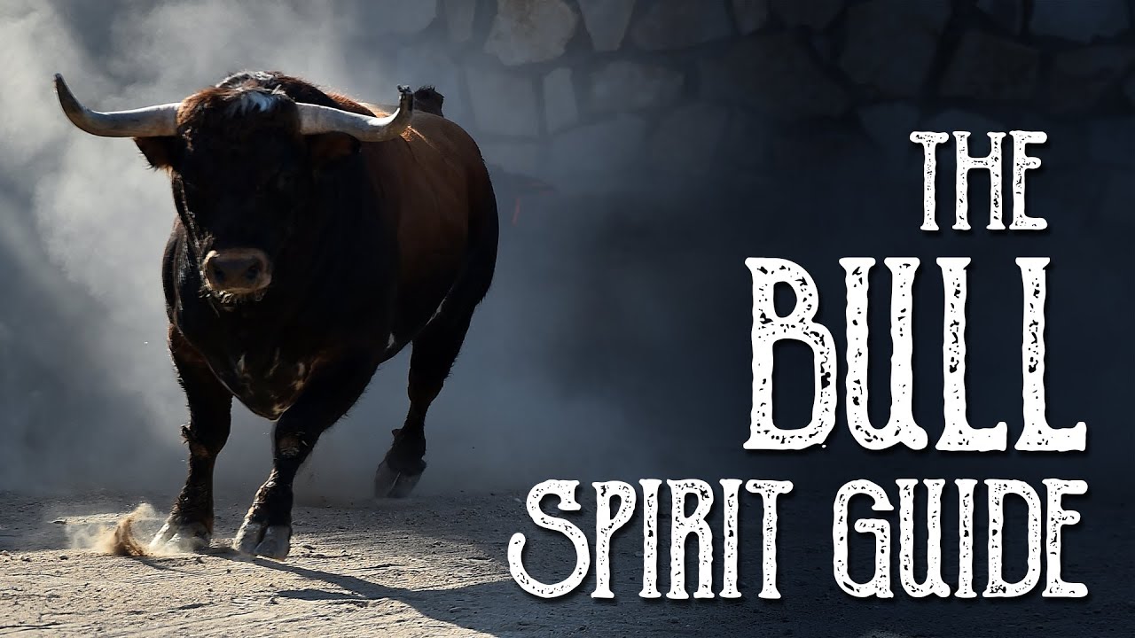 Bull Spirit Guide