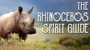 Read more about the article Rhino Spirit Guide