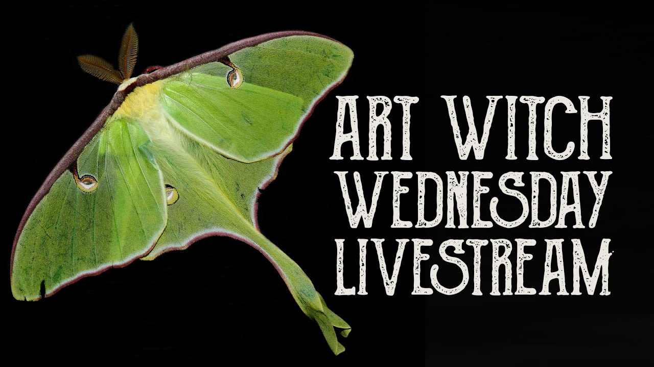 You are currently viewing Creating a Luna Moth Acrylic painting
