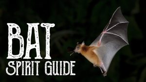 Bat Spirit Guide – Ask the Spirit Guides Oracle, Totem Animal, Power Animal, Magical Crafting