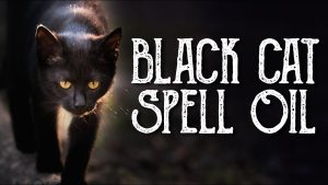 Black Cat Oil Recipe – Good Luck Spell Oil, Break Hexes & Curses – Witchcraft – Magical Crafting