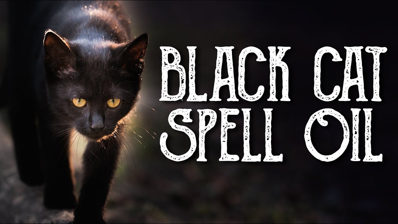 You are currently viewing Black Cat Oil Recipe – Good Luck Spell Oil, Break Hexes & Curses – Witchcraft – Magical Crafting