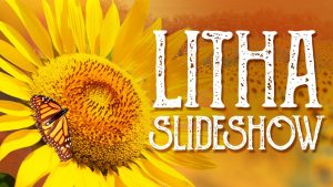 Read more about the article Litha Slideshow – Summer Solstice, Midsummer, Wheel of the Year