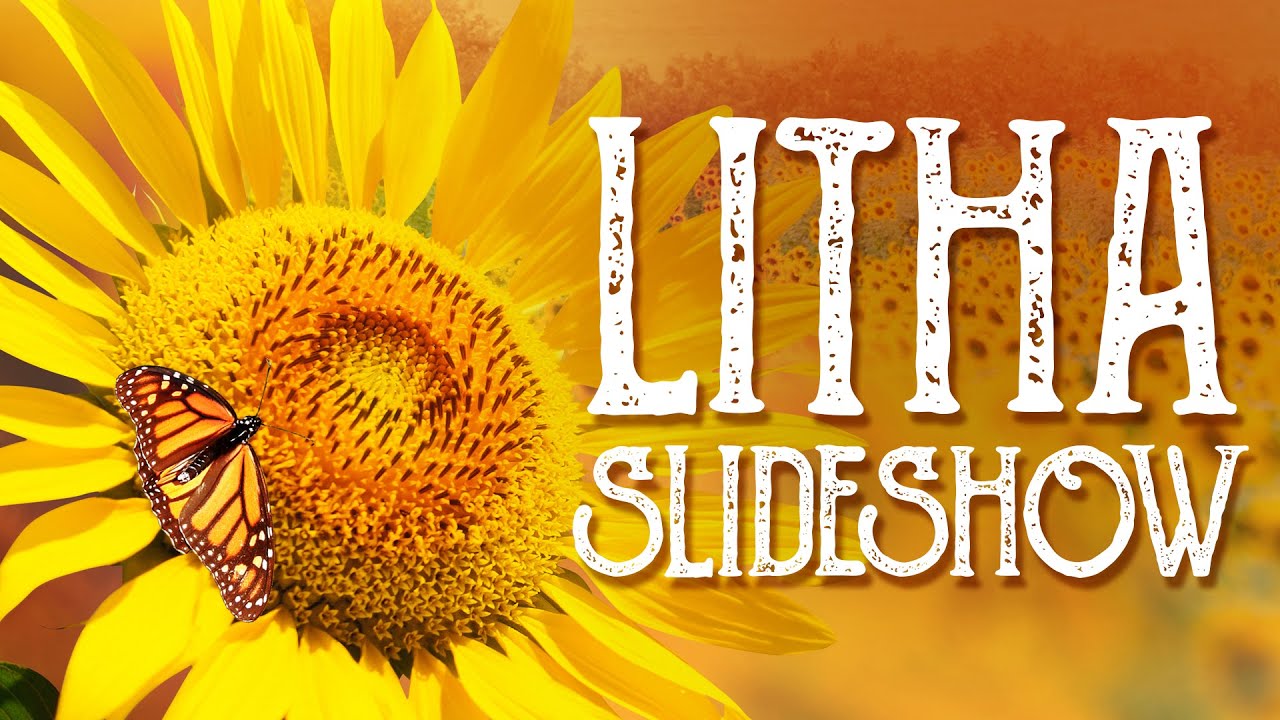 You are currently viewing Litha Slideshow – Summer Solstice, Midsummer, Wheel of the Year
