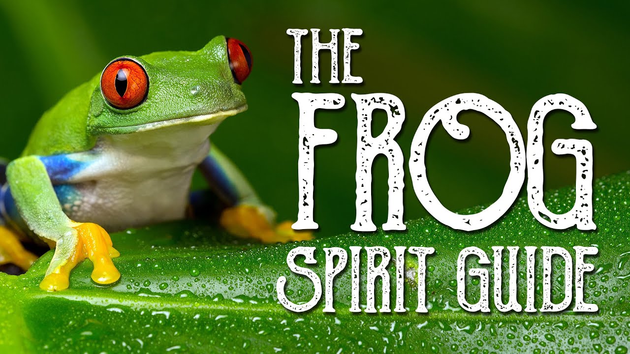 The Frog Spirit Guide